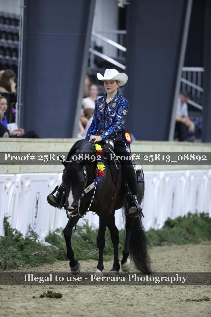 Proof 25R13_08892
