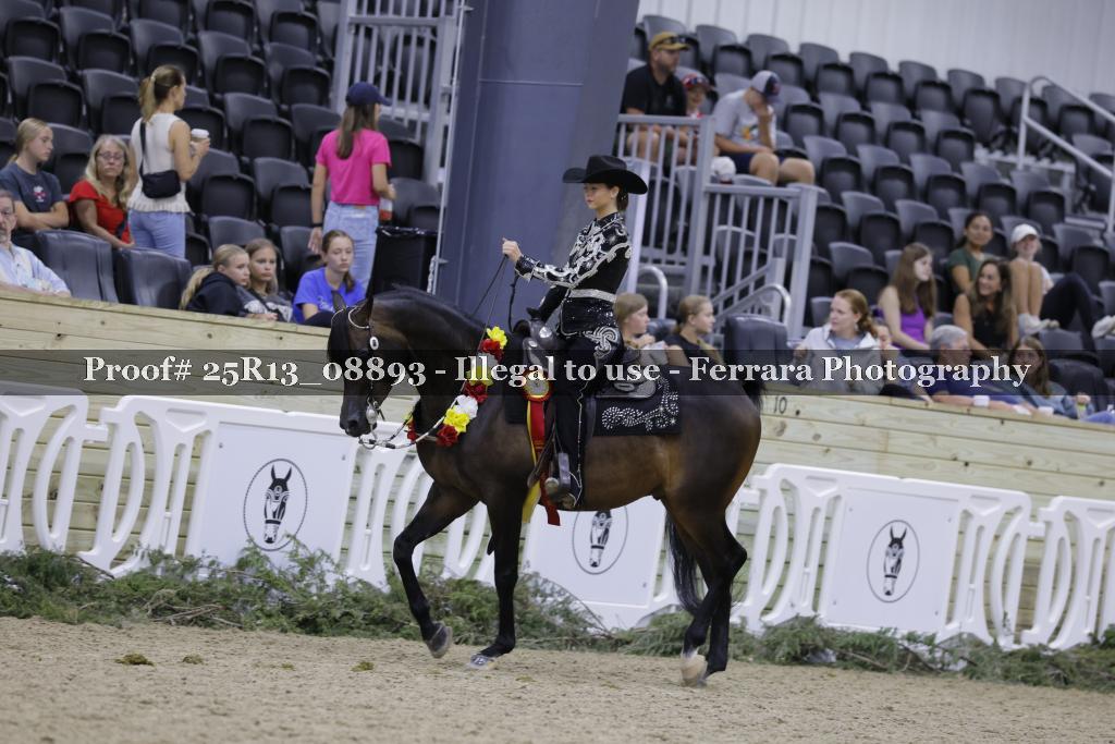 Proof 25R13_08893