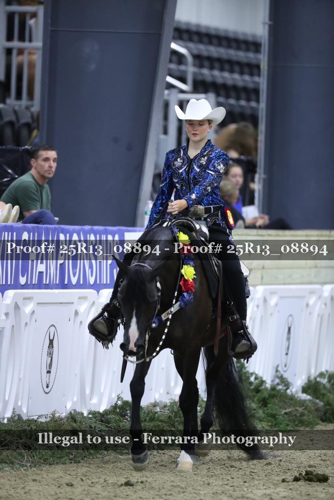 Proof 25R13_08894
