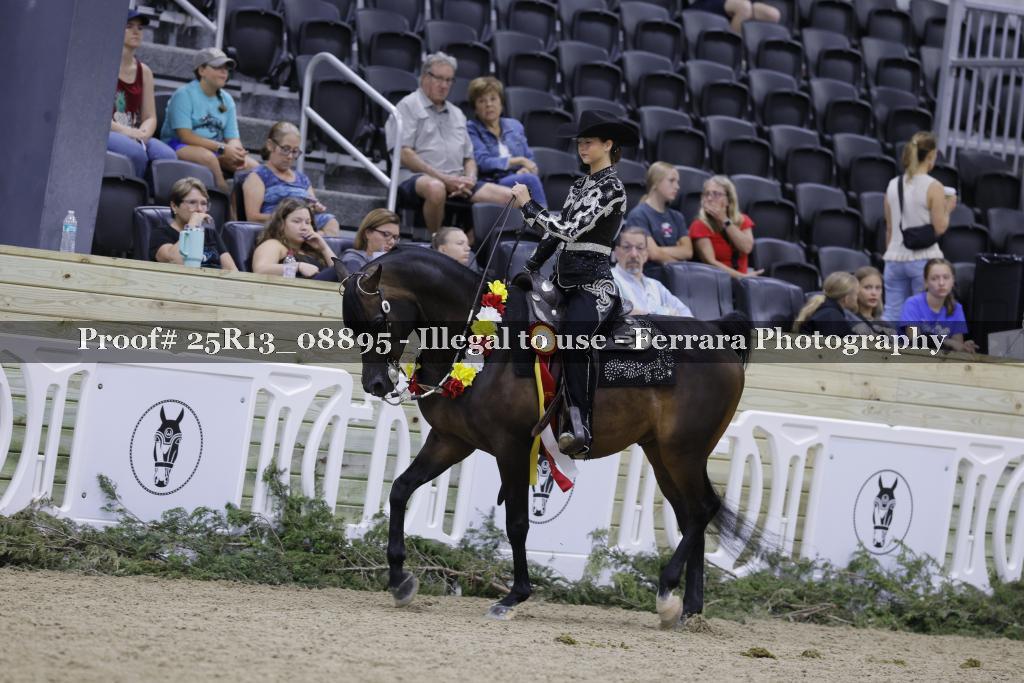 Proof 25R13_08895