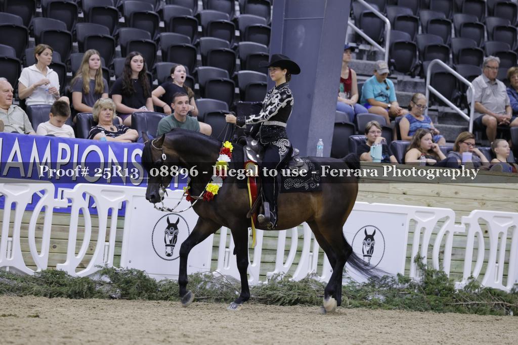 Proof 25R13_08896