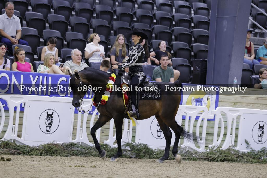 Proof 25R13_08897