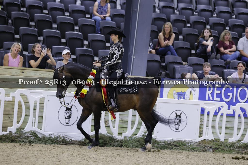 Proof 25R13_08903