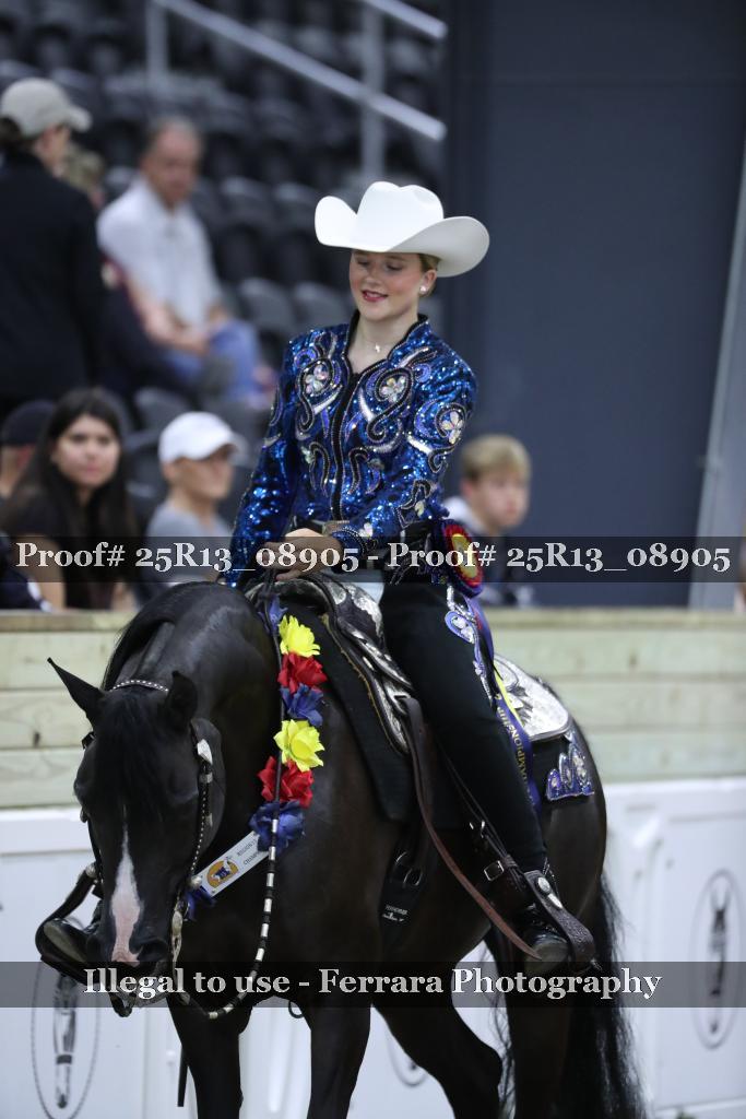 Proof 25R13_08905