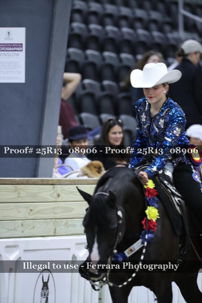 Proof 25R13_08906