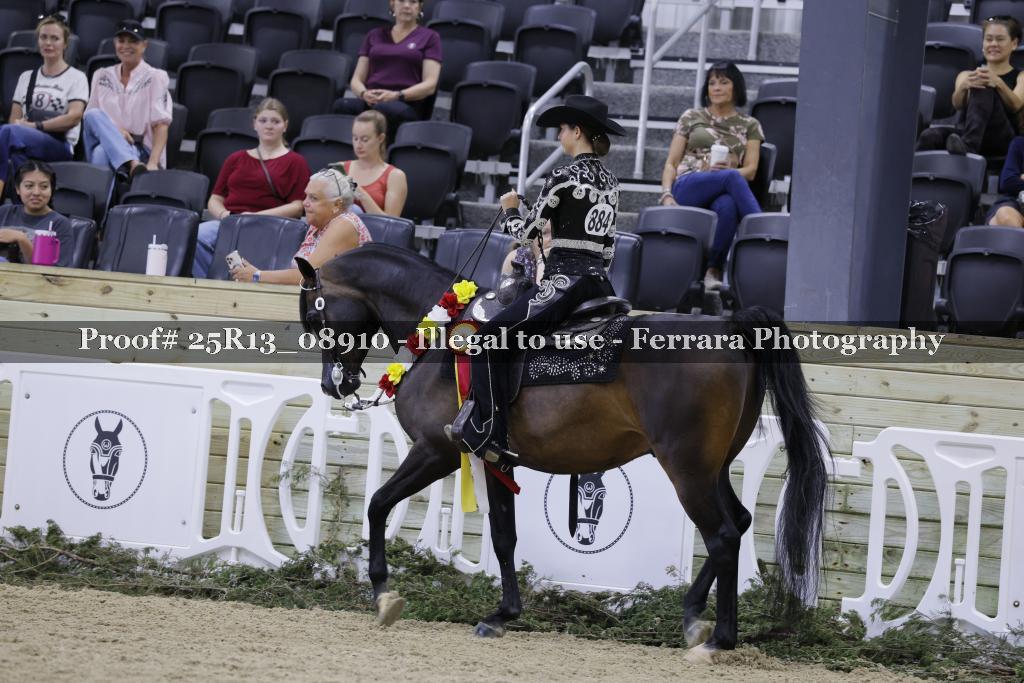 Proof 25R13_08910