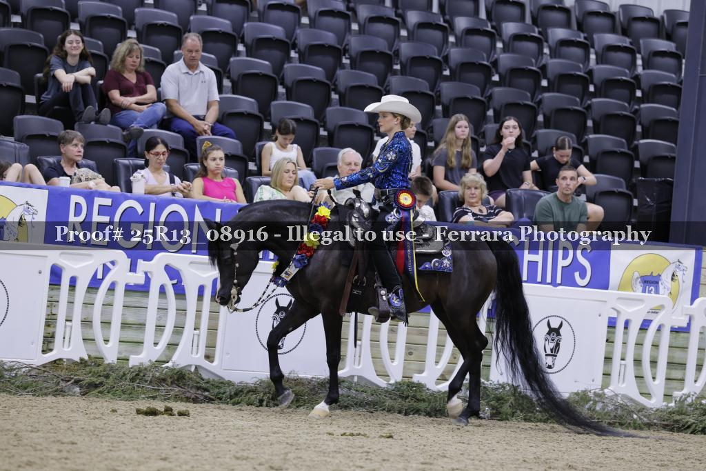 Proof 25R13_08916