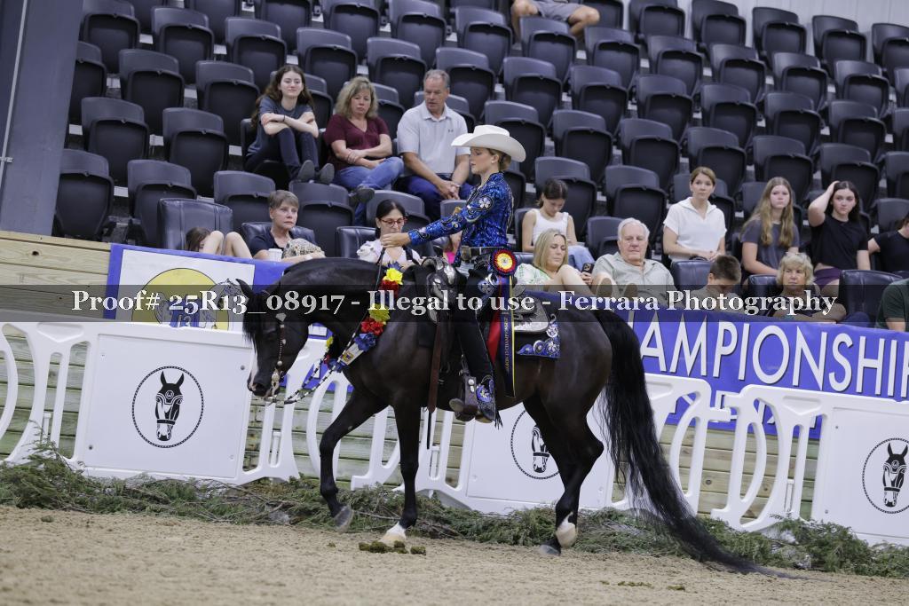 Proof 25R13_08917