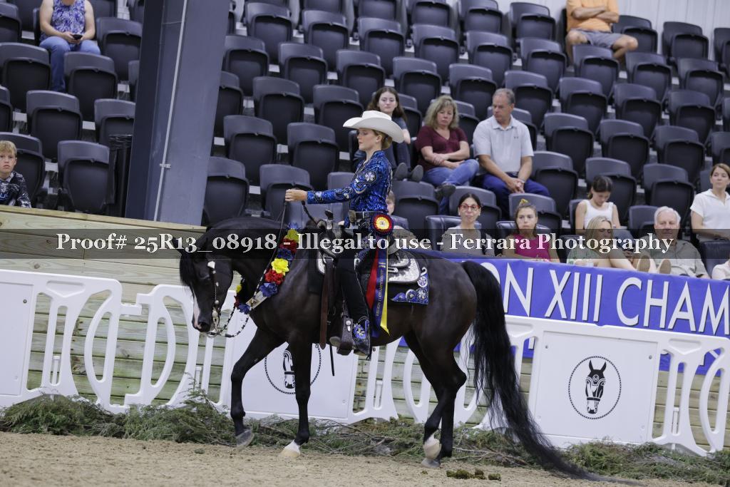 Proof 25R13_08918