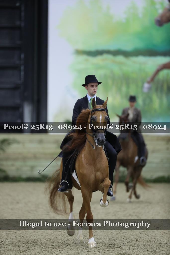 Proof 25R13_08924