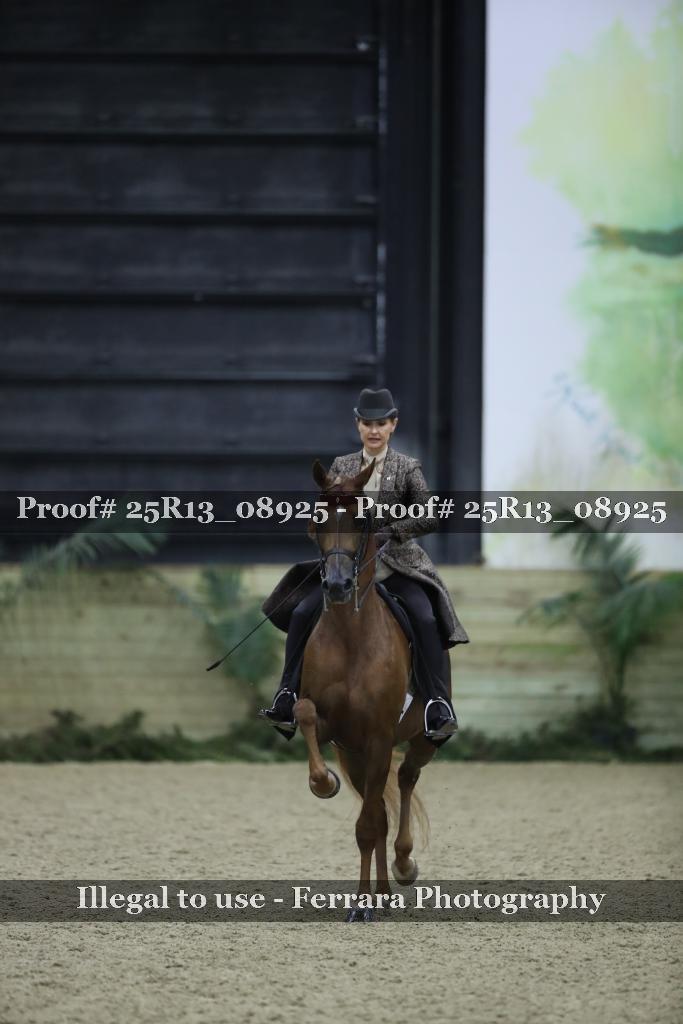 Proof 25R13_08925