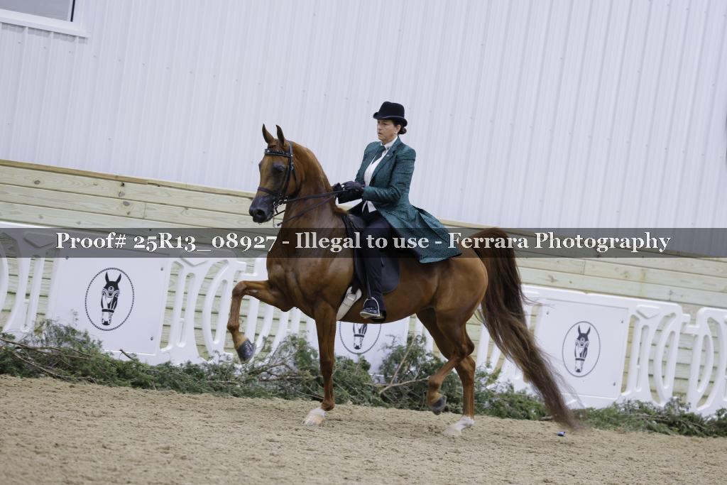 Proof 25R13_08927