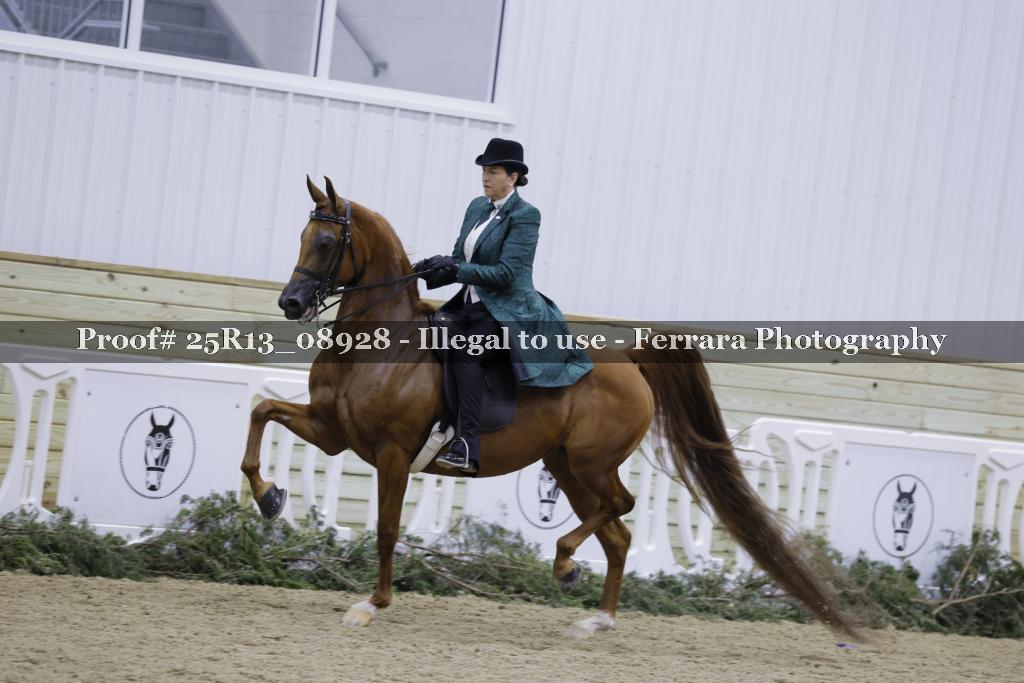 Proof 25R13_08928