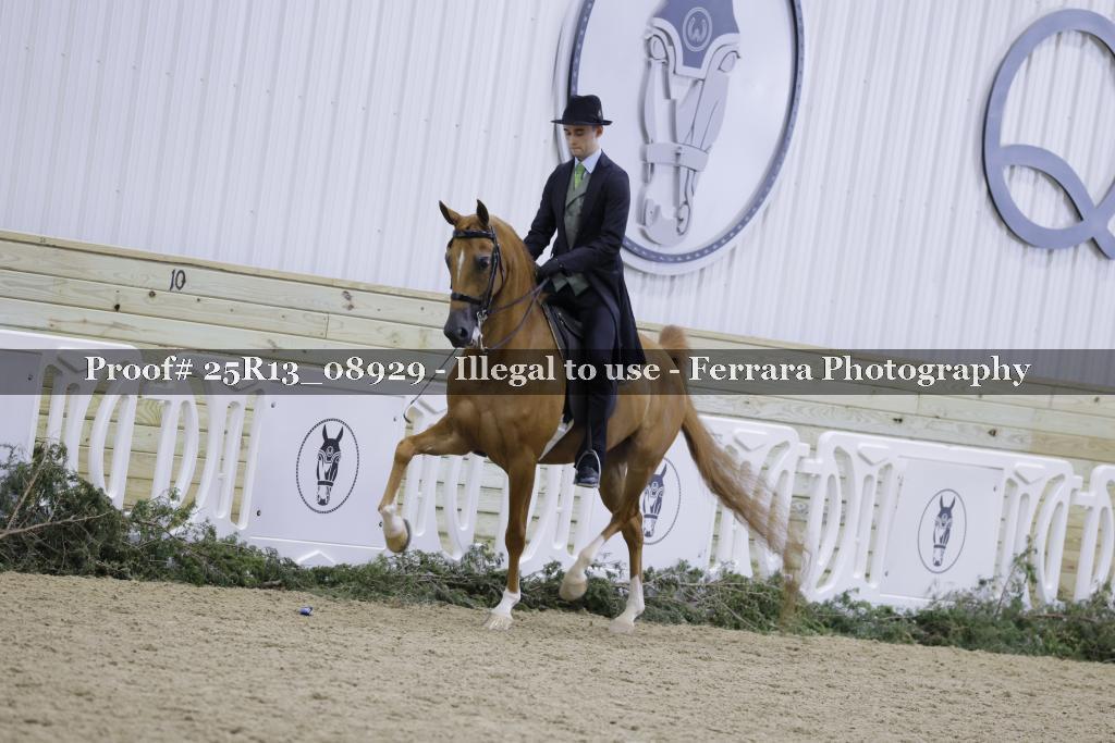 Proof 25R13_08929