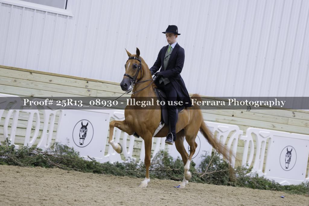 Proof 25R13_08930
