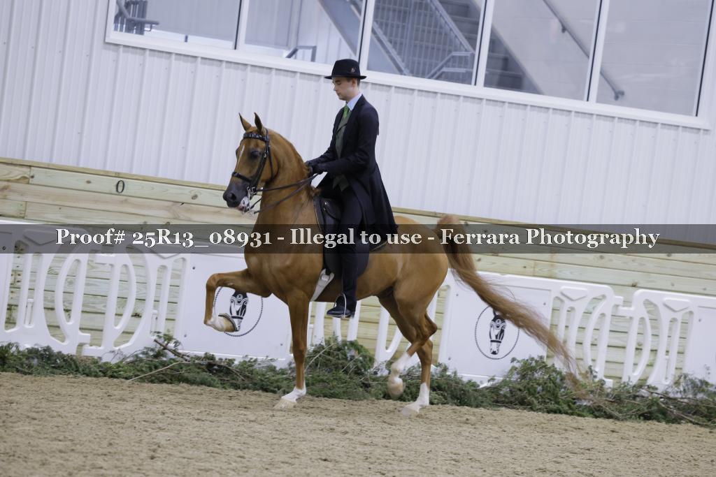 Proof 25R13_08931
