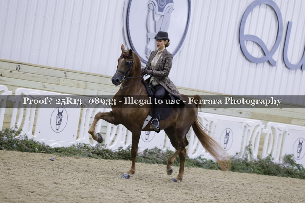 Proof 25R13_08933