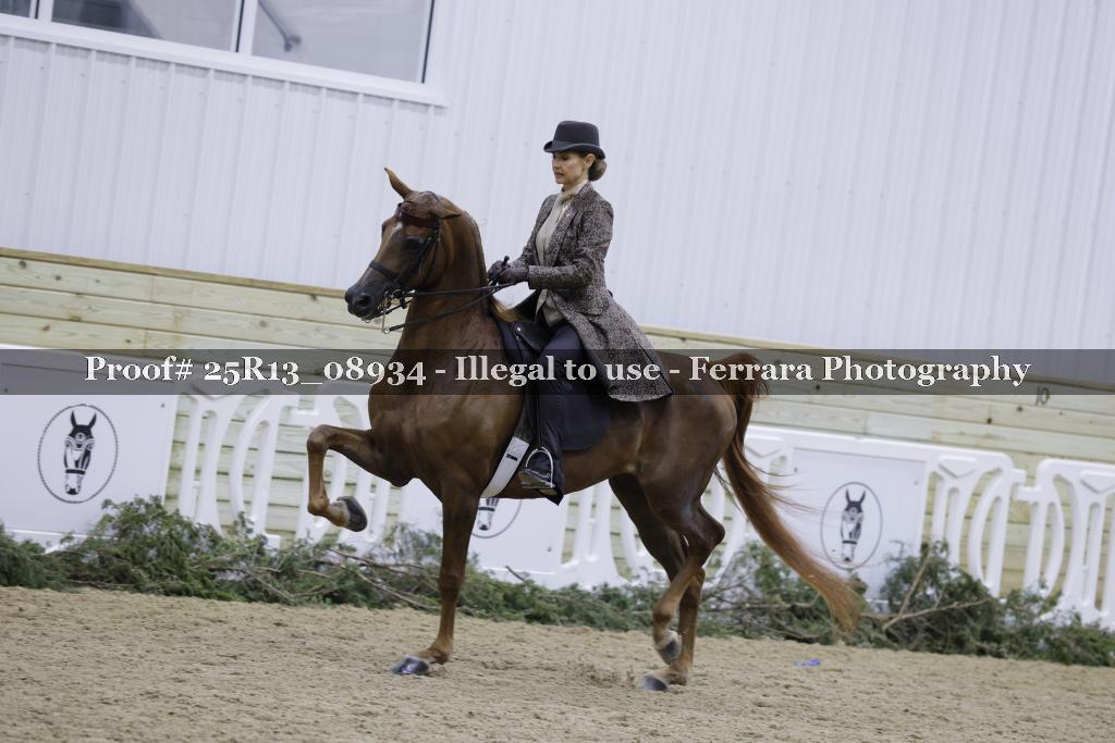 Proof 25R13_08934