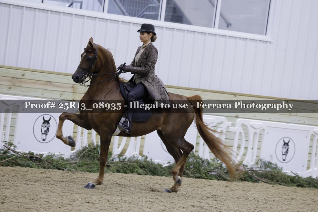 Proof 25R13_08935