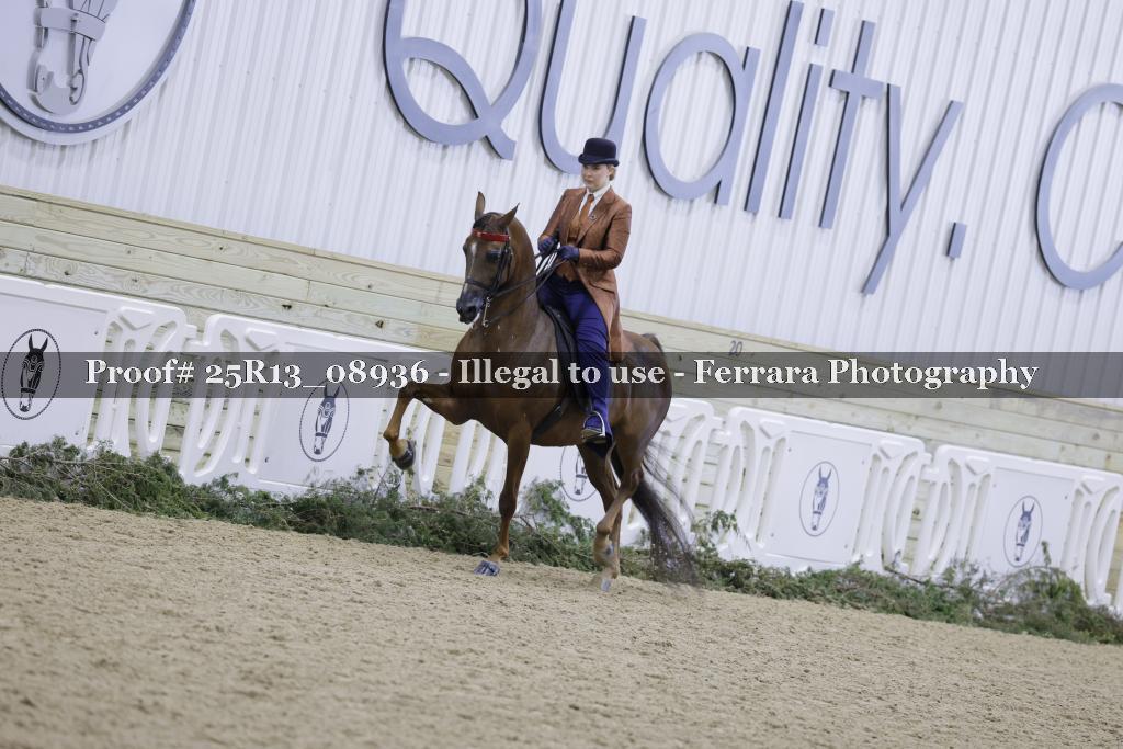 Proof 25R13_08936