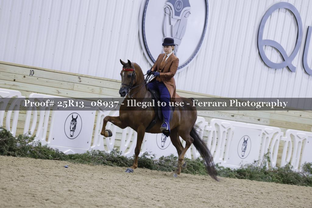Proof 25R13_08937