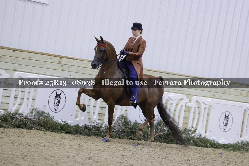 Proof 25R13_08938