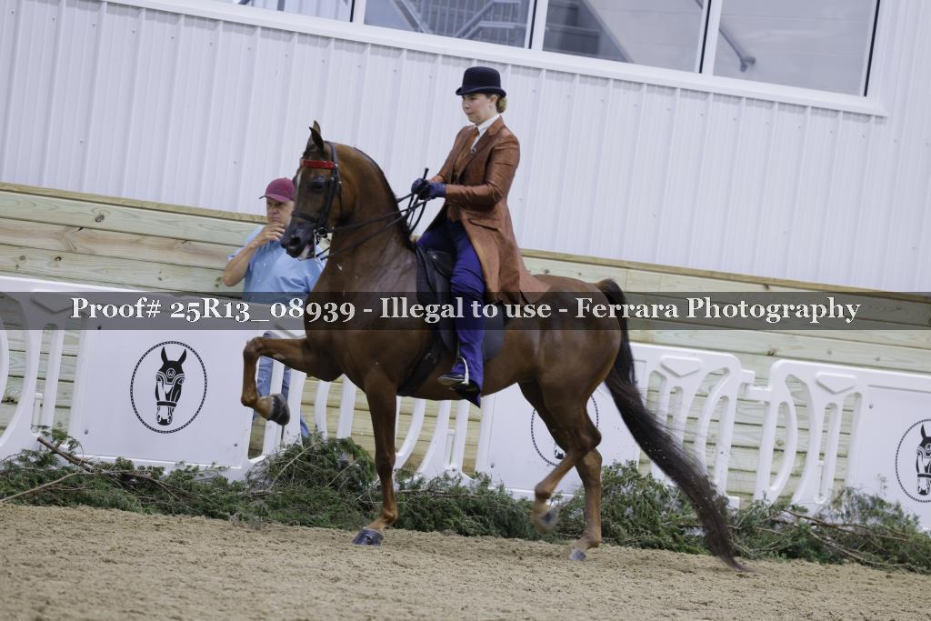 Proof 25R13_08939