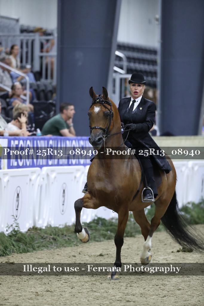 Proof 25R13_08940