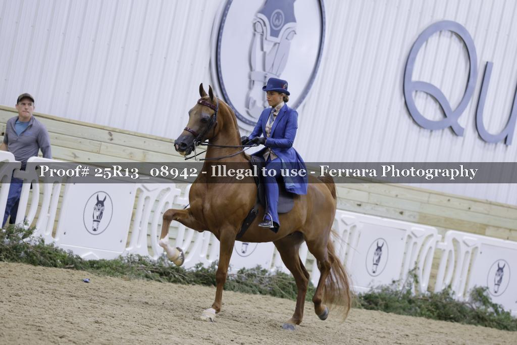 Proof 25R13_08942