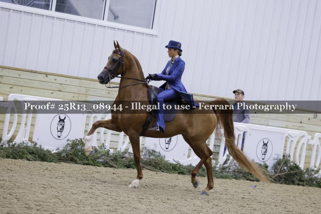 Proof 25R13_08944