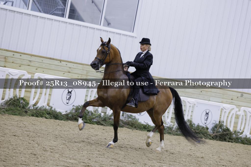 Proof 25R13_08945