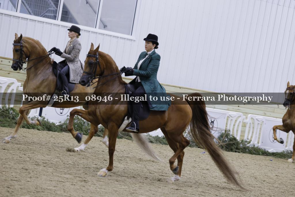 Proof 25R13_08946