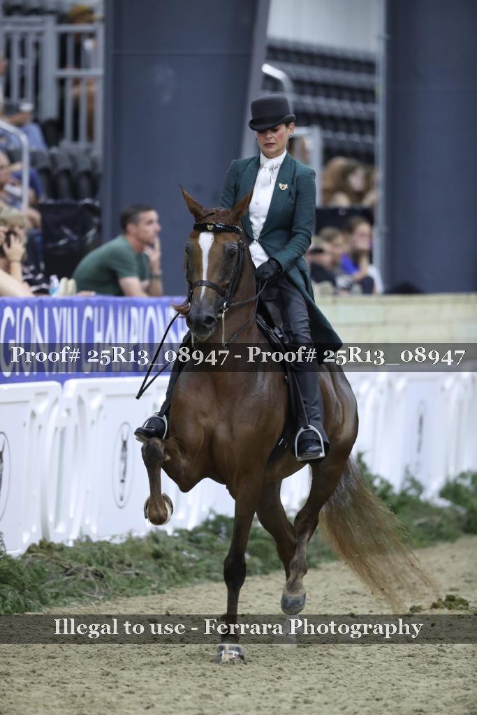 Proof 25R13_08947