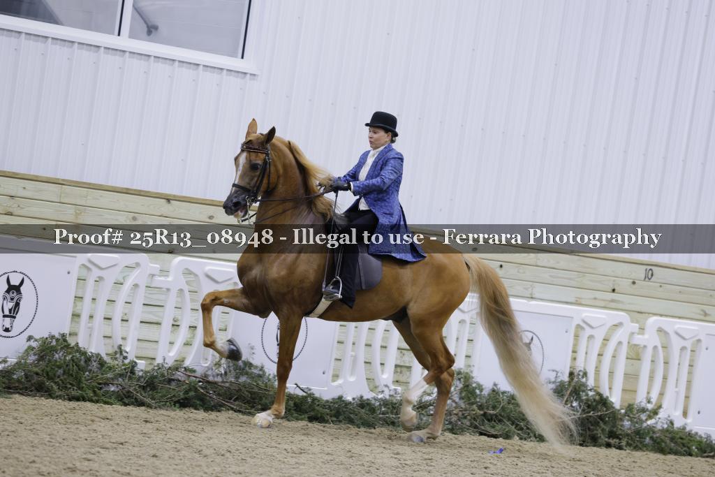 Proof 25R13_08948