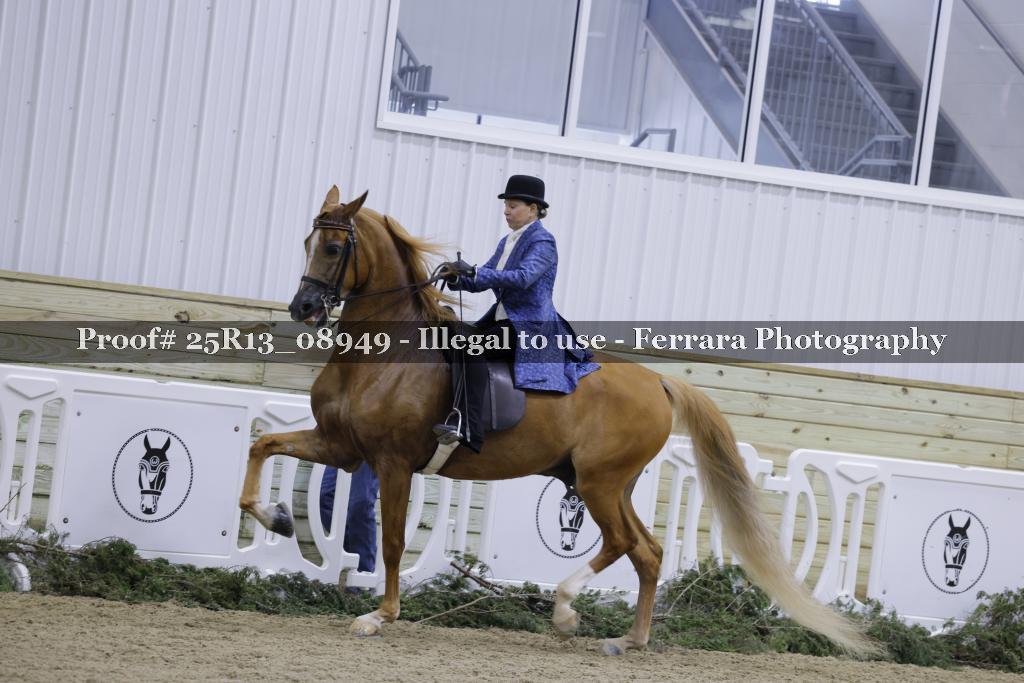Proof 25R13_08949