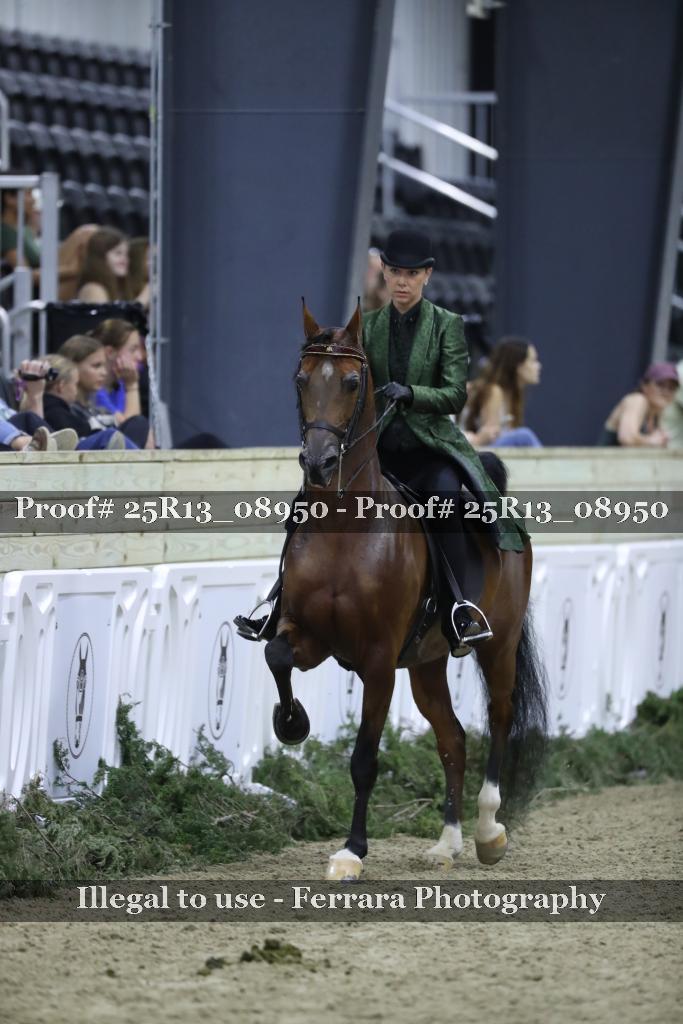 Proof 25R13_08950
