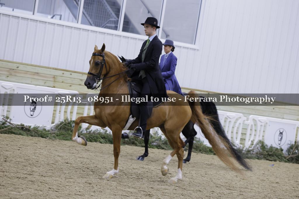 Proof 25R13_08951