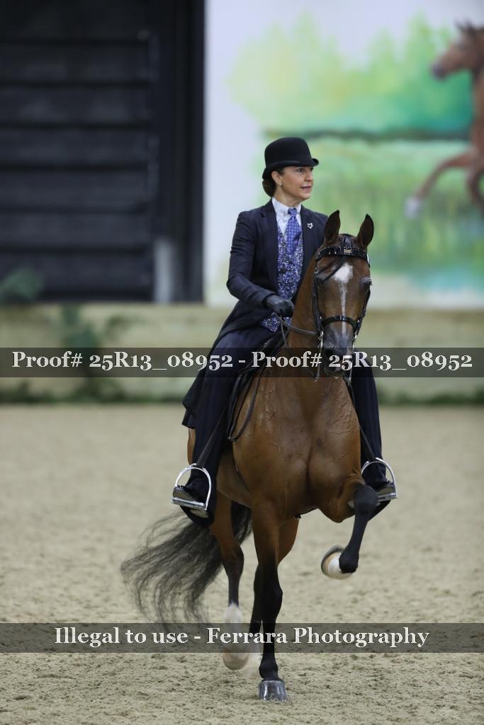 Proof 25R13_08952