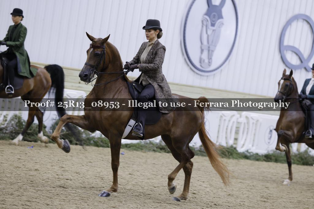 Proof 25R13_08953