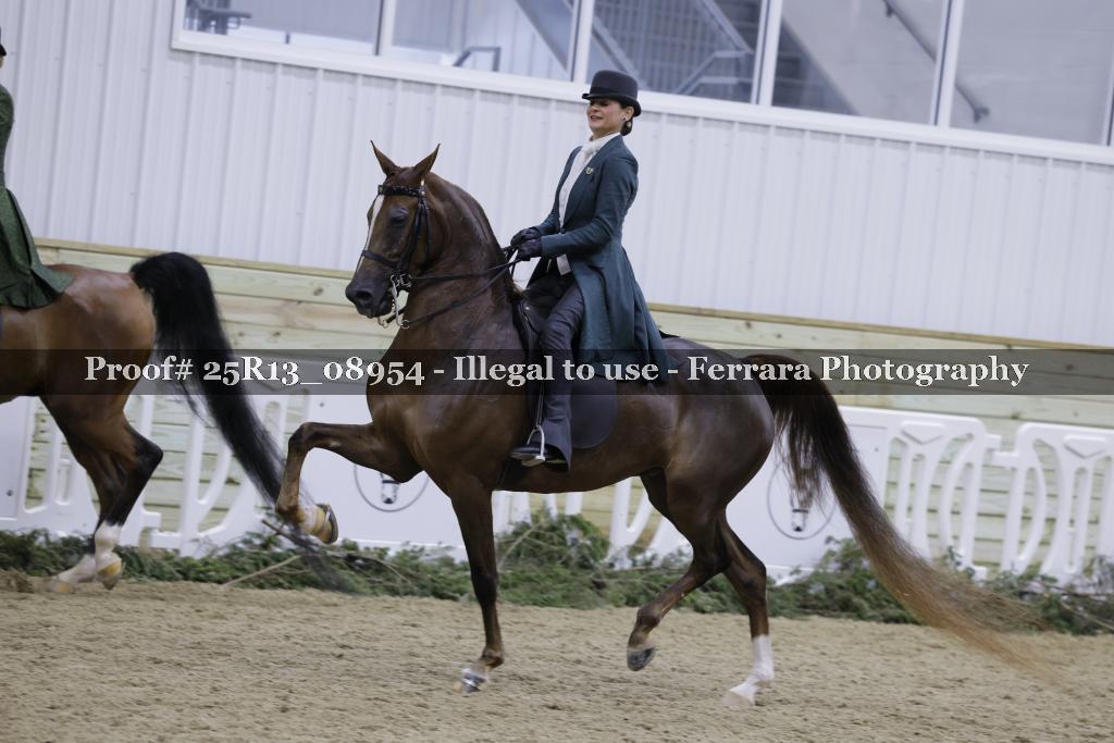 Proof 25R13_08954