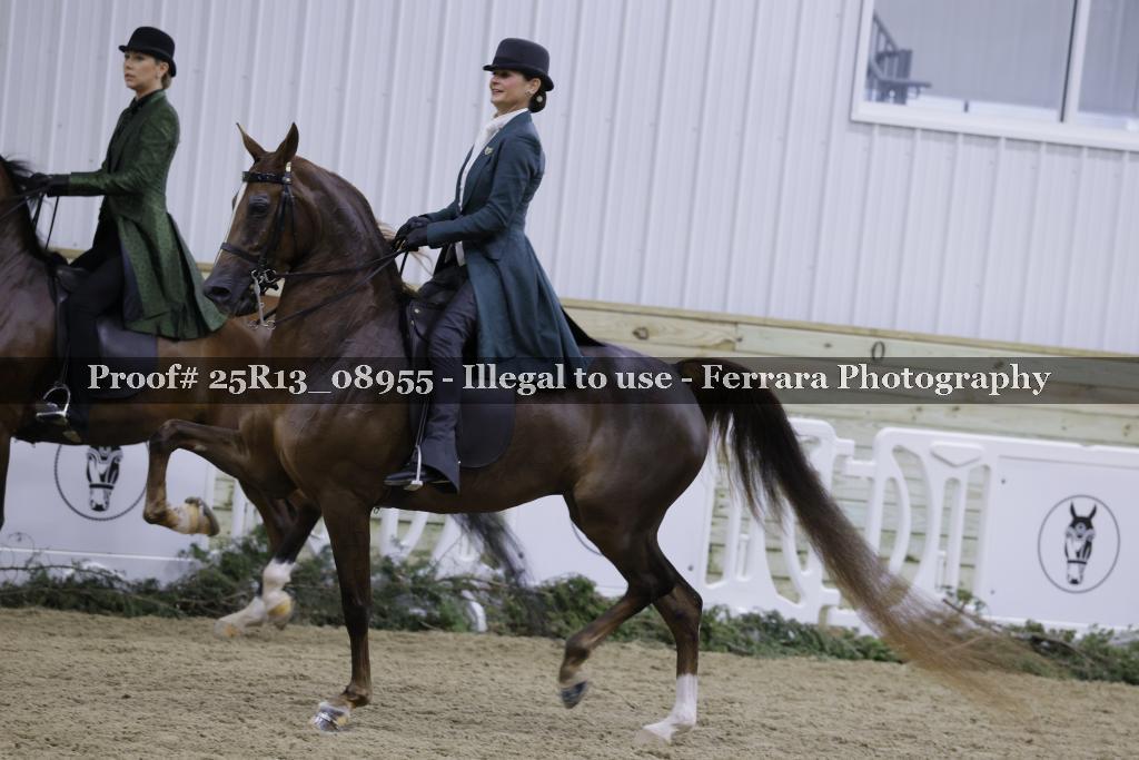 Proof 25R13_08955