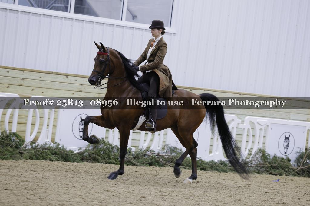 Proof 25R13_08956