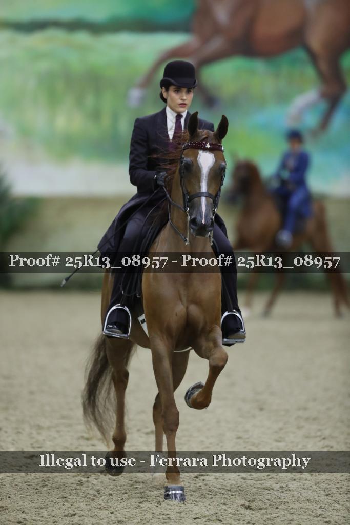 Proof 25R13_08957