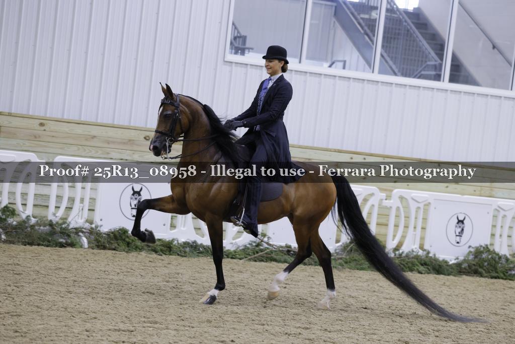 Proof 25R13_08958