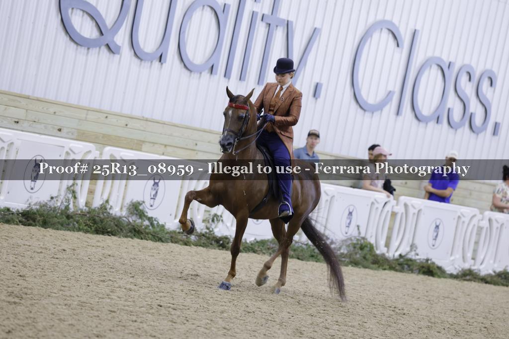 Proof 25R13_08959