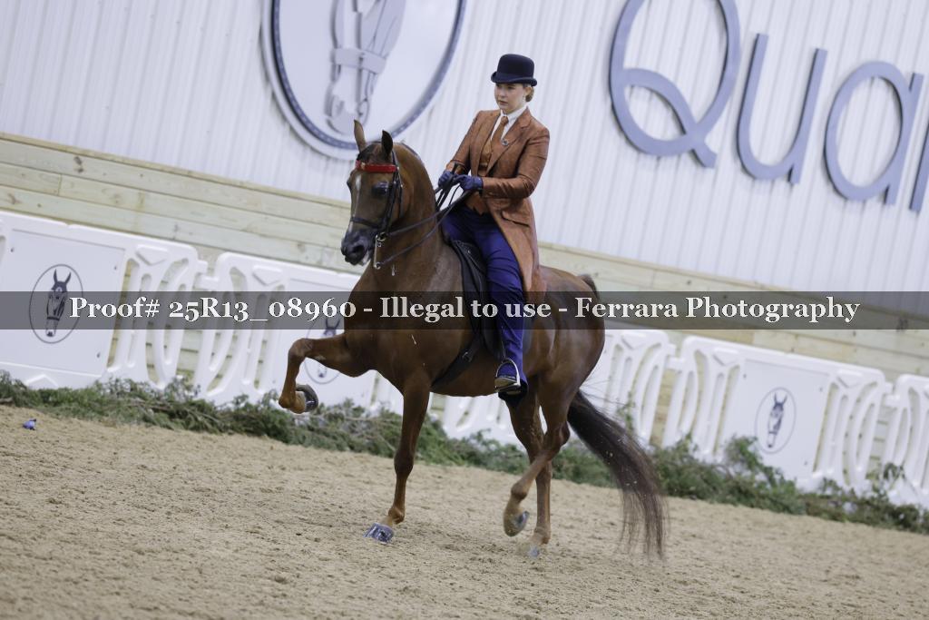 Proof 25R13_08960