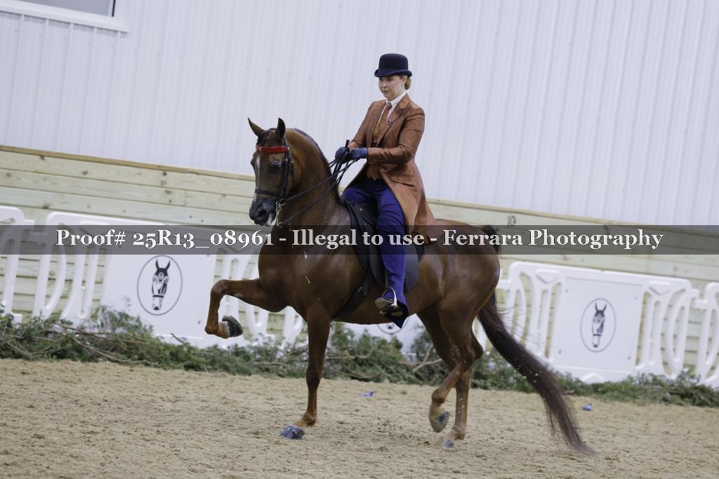 Proof 25R13_08961