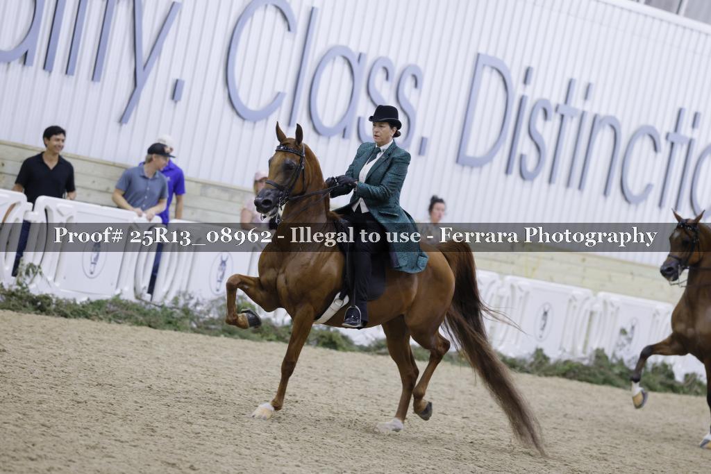 Proof 25R13_08962