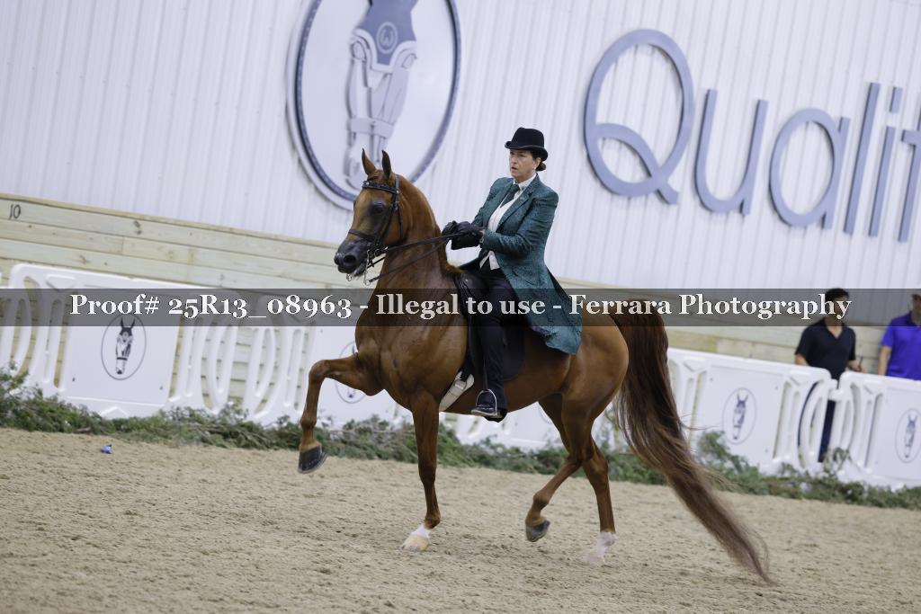 Proof 25R13_08963