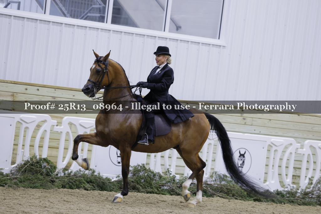 Proof 25R13_08964